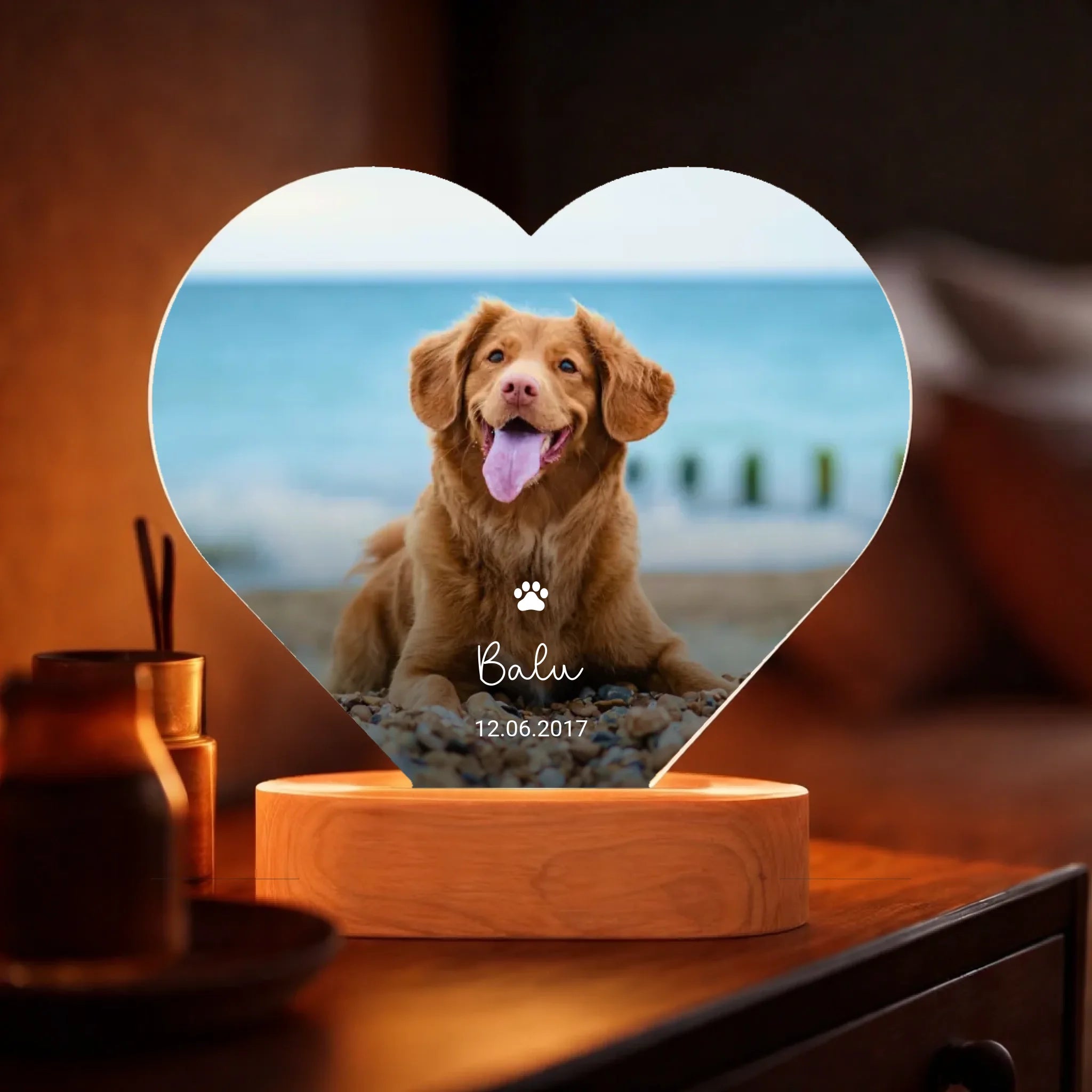 41c00417-f4bc-4e71-bf95-ff4c03a10064